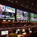 sports bet las vegas